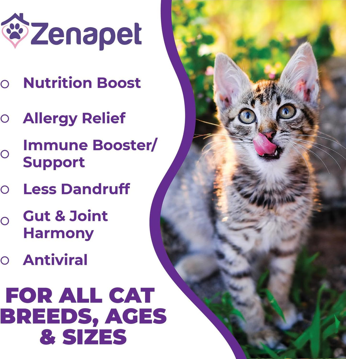 Zenapet Cat Colostrum Plus Superfood Supplement 84Gr.