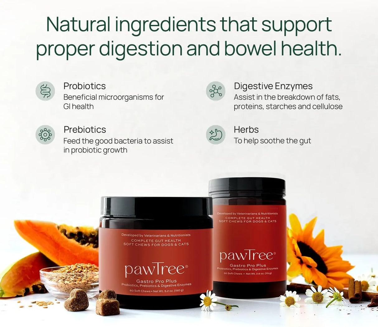 PAWTREE - pawTree Gastro Pro Plus for Dogs and Cats 30 Masticables - The Red Vitamin MX - Probióticos Para Perros - {{ shop.shopifyCountryName }}