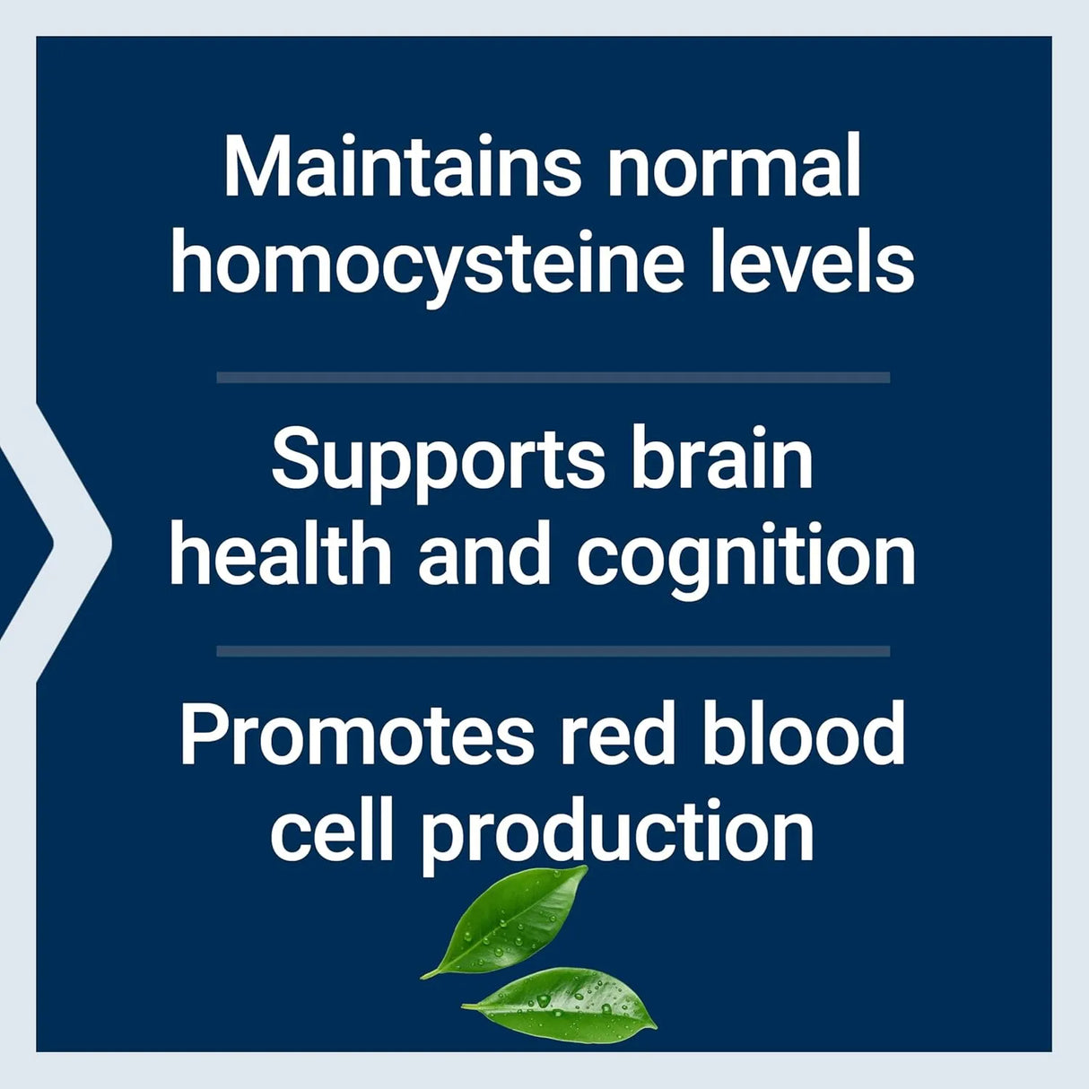 LIFE EXTENSION - Life Extension Vitamin B12 Methylcobalamin 1Mg. 60 Tabletas - The Red Vitamin MX - Suplementos Alimenticios - {{ shop.shopifyCountryName }}