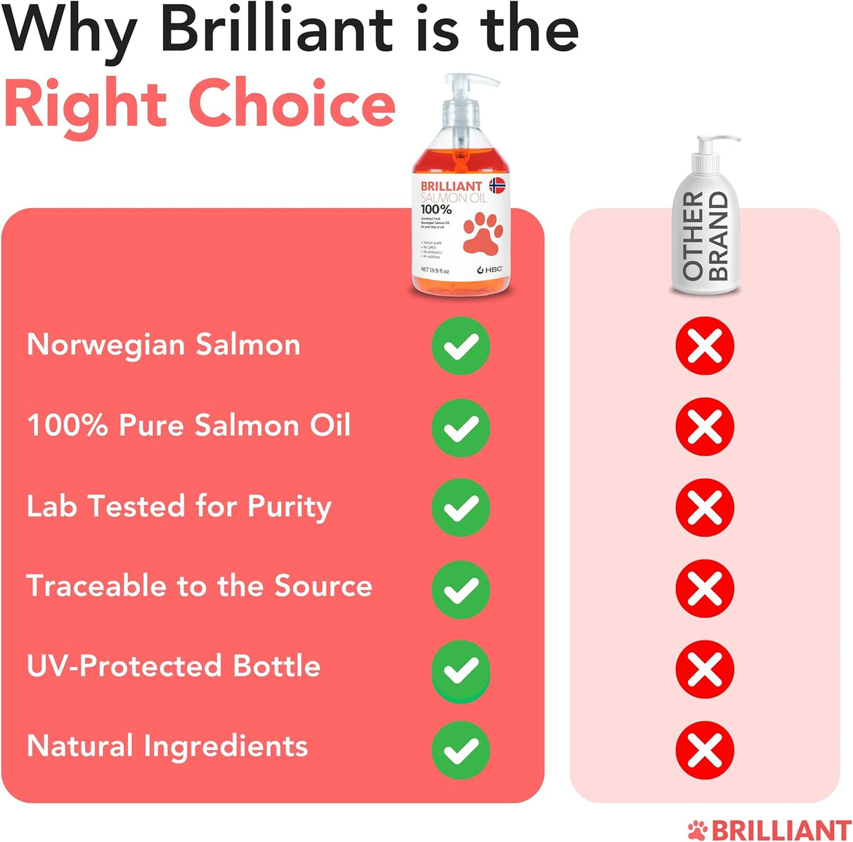 Hofseth BioCare Salmon Oil for Dogs 16.9 Fl.Oz.