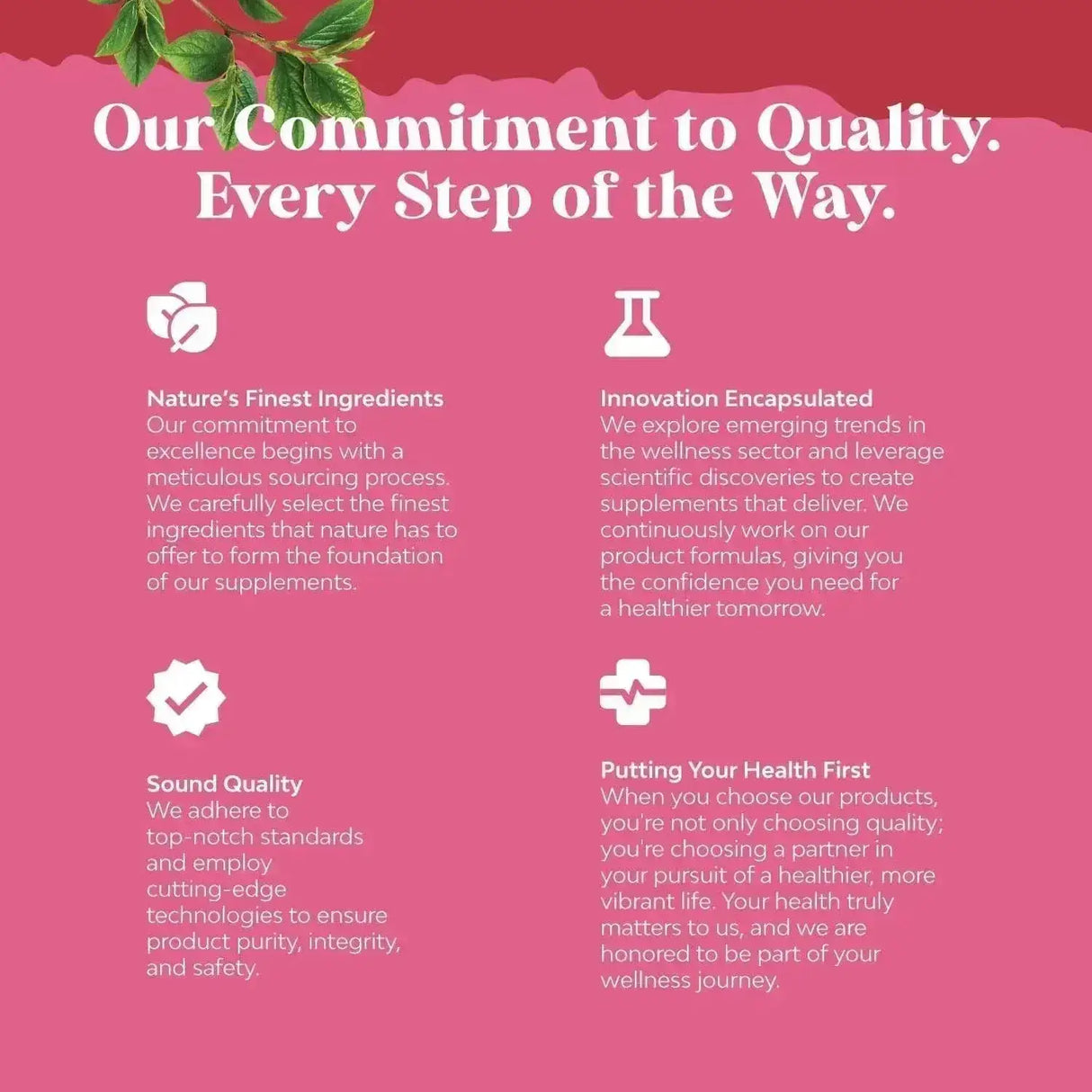 NATURES CRAFT - Natures Craft Advanced Antioxidant Superfood Pomegranate 120 Capsulas - The Red Vitamin MX - Suplementos Alimenticios - {{ shop.shopifyCountryName }}