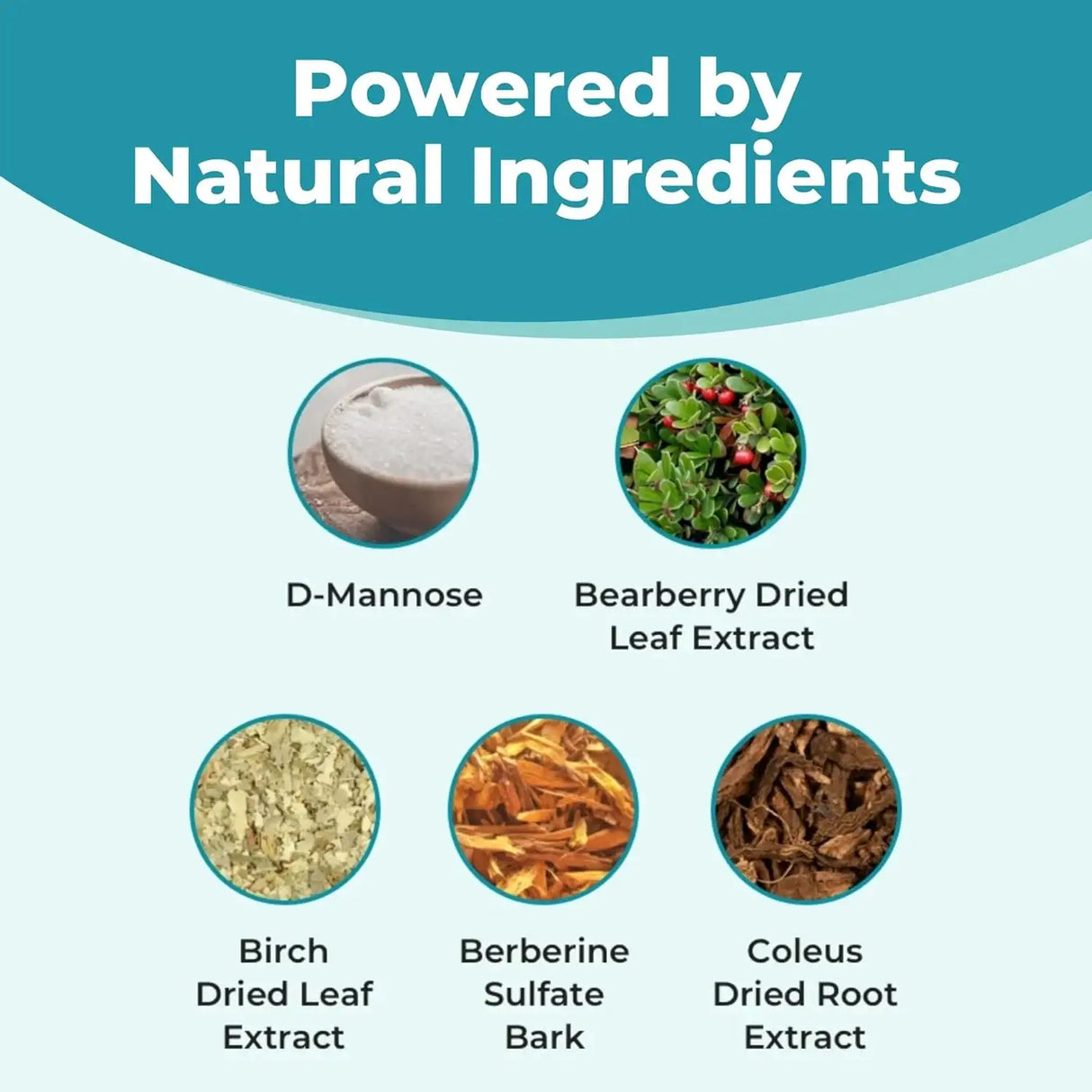 FEMICLEAR - FemiClear Daily Urinary Tract Flush 20 Capsulas - The Red Vitamin MX - Suplementos Alimenticios - {{ shop.shopifyCountryName }}