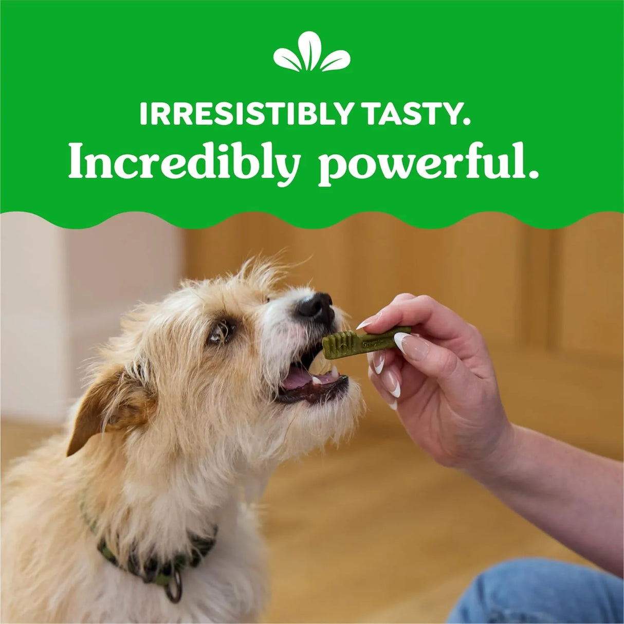 GREENIES - Greenies Teenie Natural Dog Dental Treats Sweet Potato Flavor 130 Piezas - The Red Vitamin MX - Cuidado Dental Para Perros - {{ shop.shopifyCountryName }}