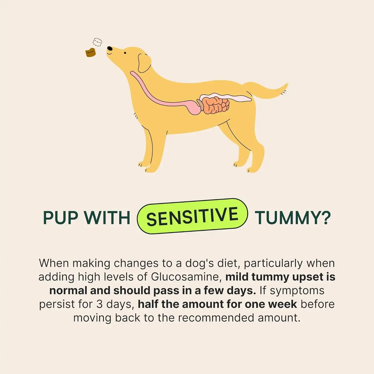 WUFFES - Wuffes Advanced Dog Hip and Joint Small&Medium Breeds Pork Flavored 60 Masticables 2 Pack - The Red Vitamin MX - Cuidado De Cadera Y Articulaciones Para Perros - {{ shop.shopifyCountryName }}