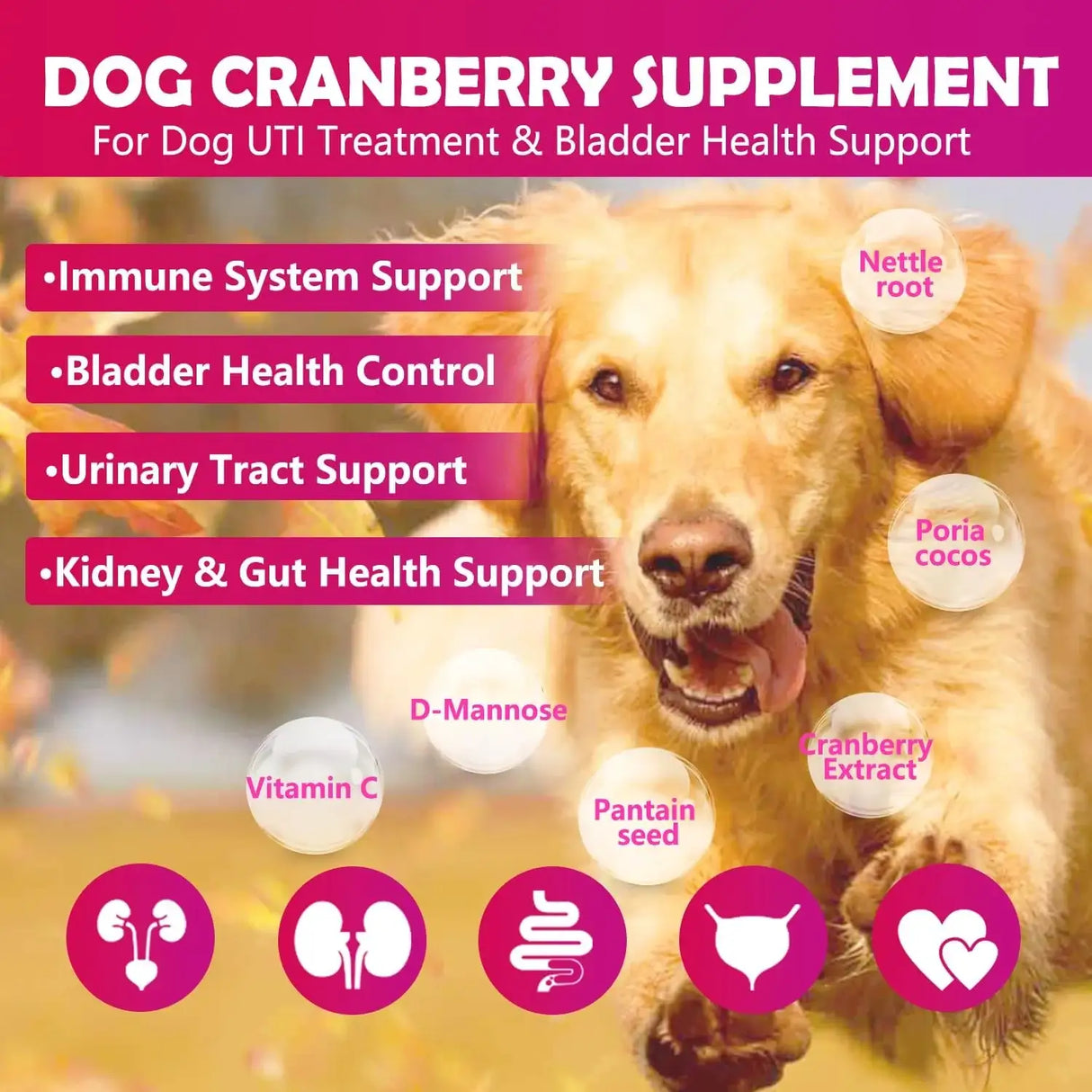 TEKOLA - Tekola Cranberry Bladder Health for Dogs 160 Masticables - The Red Vitamin MX - Salud De Tracto Urinario Para Perros - {{ shop.shopifyCountryName }}
