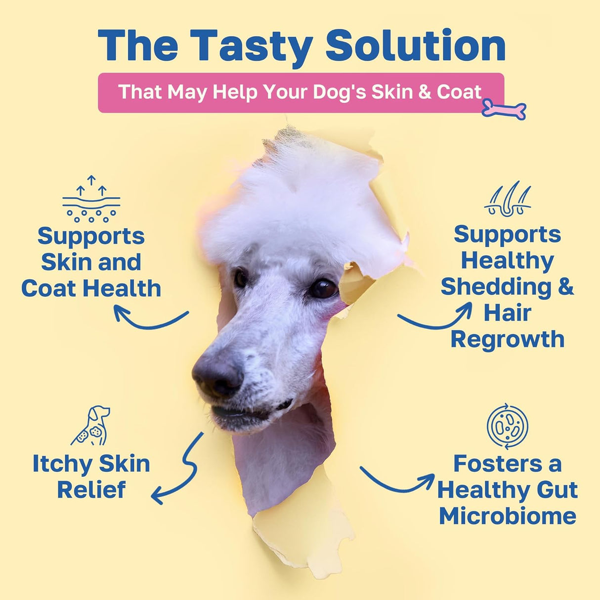 Happy Paws Skin and Coat Supplement for Dogs 100 Masticables 2 Pack