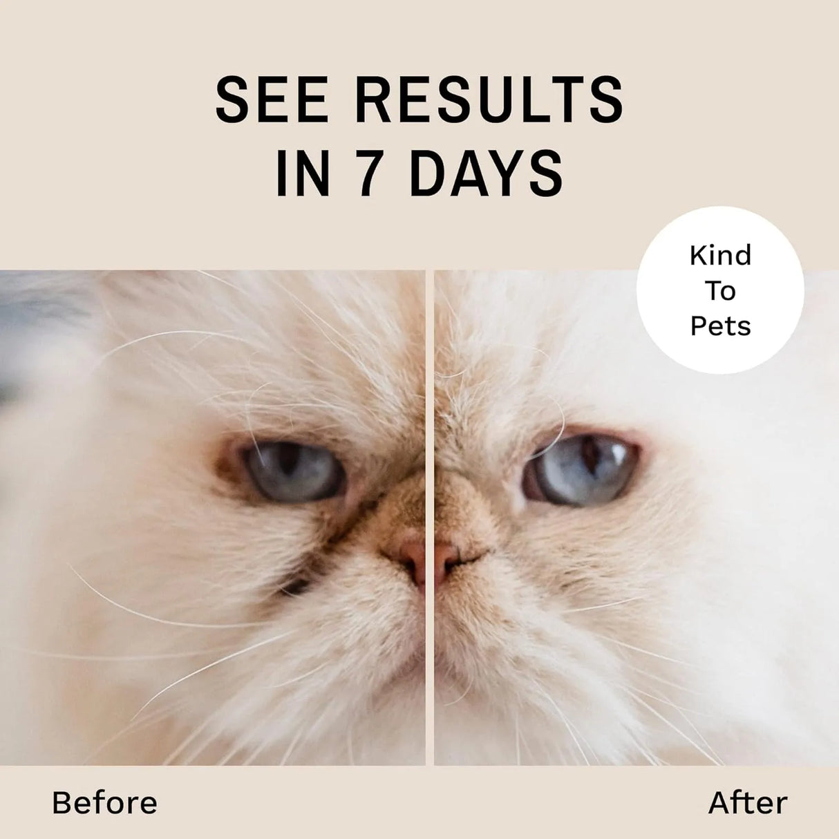 EYE ENVY - Eye Envy Tear Stain Remover Powder for Dogs and Cats 40Gr. - The Red Vitamin MX - Cuidado De Los Ojos De Los Perros - {{ shop.shopifyCountryName }}