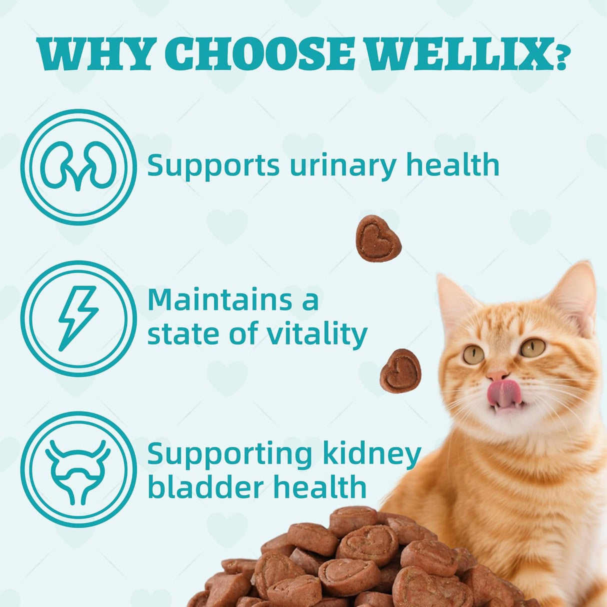 Wellix Urinary Tract Health Supplement Cat Treats 13.5 Oz.