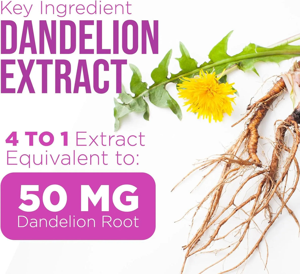 HEALTH NUTRITION NATURALS - Health Nutrition Naturals Milk Thistle Extract 1000Mg. 60 Capsulas - The Red Vitamin MX - Suplementos Alimenticios - {{ shop.shopifyCountryName }}