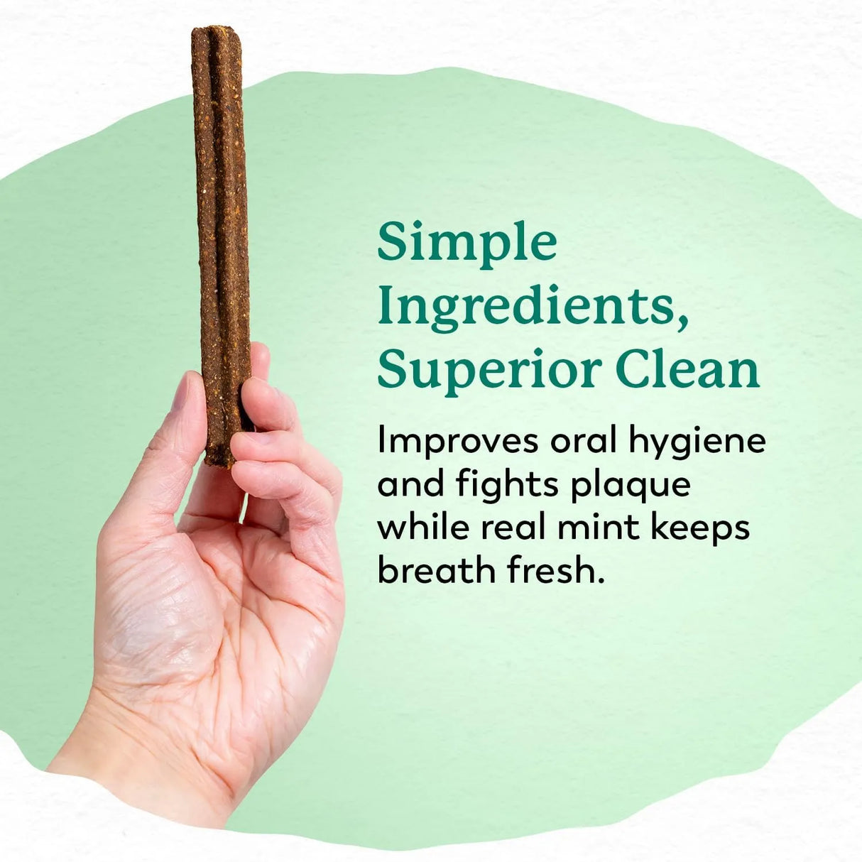 DR. HARVEY'S - Dr. Harvey's Holistix Dental Chews for Dogs 24 Piezas - The Red Vitamin MX - Cuidado Dental Para Perros - {{ shop.shopifyCountryName }}