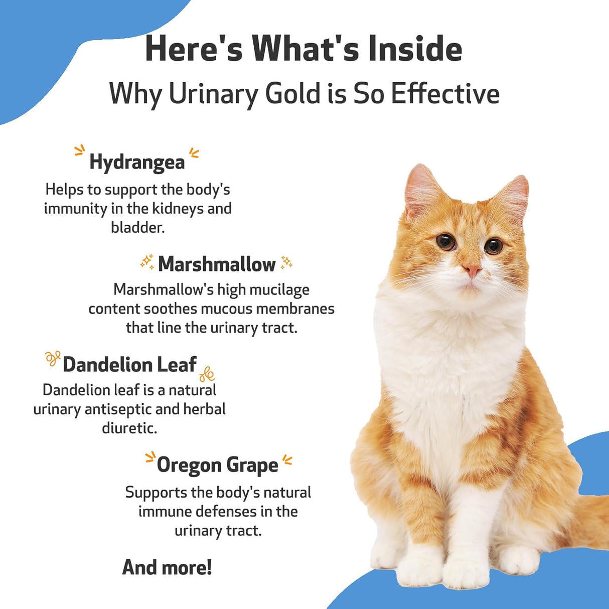 Pet Wellbeing Urinary Gold for Cats 2 Fl.Oz.