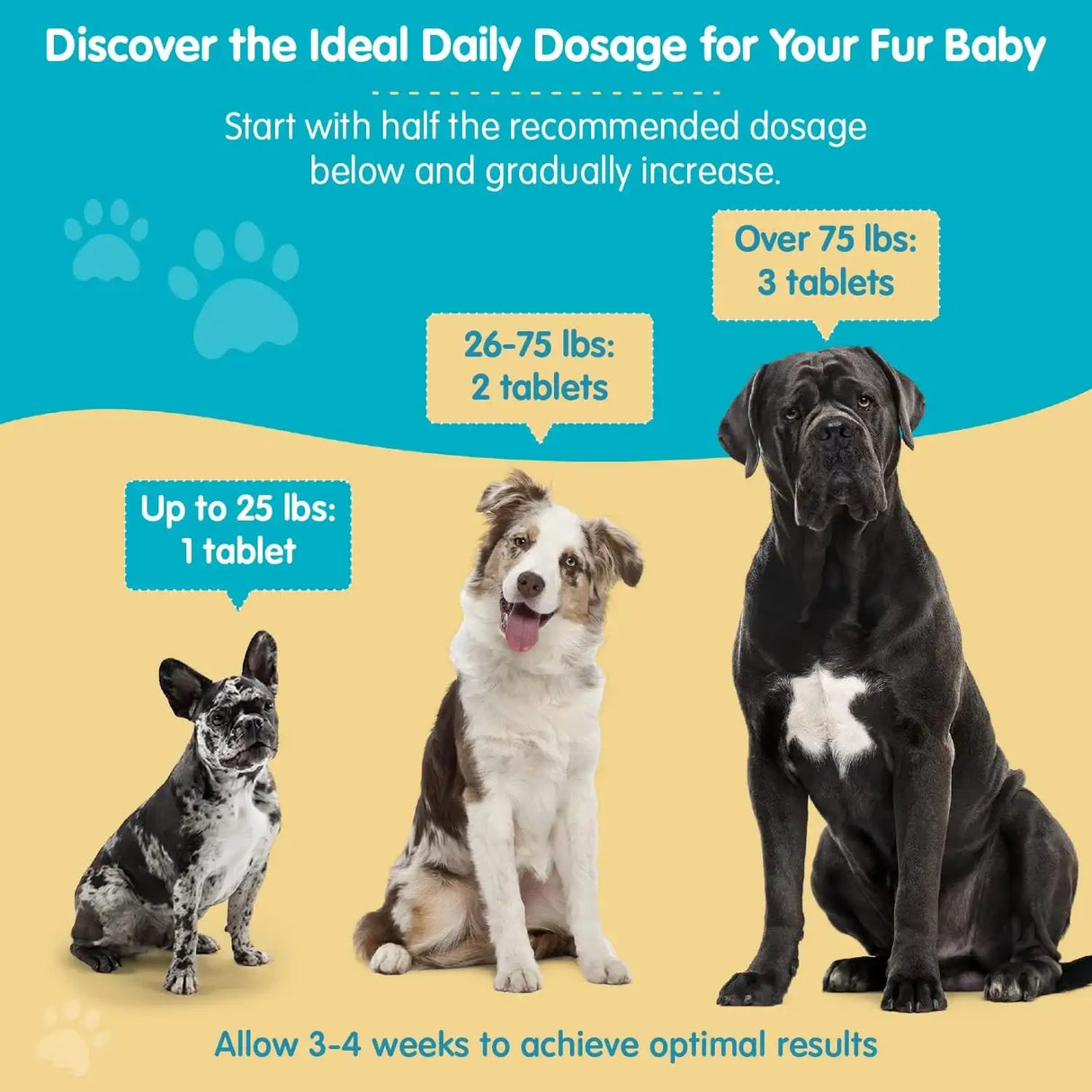 WANDERFOUND PETS - Wanderfound Pets Ultimate Cranberry Bladder UTI Support for Dogs 90 Tabletas Masticables - The Red Vitamin MX - Salud De Tracto Urinario Para Perros - {{ shop.shopifyCountryName }}