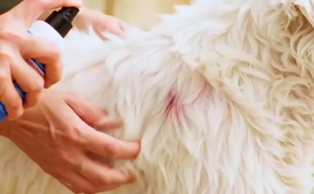 LUCY'S PET - Lucy's Pet Skin Relief Spray for Dogs & Cats 12 Fl.Oz. - The Red Vitamin MX - Remedios Para La Picazón De Perros - {{ shop.shopifyCountryName }}