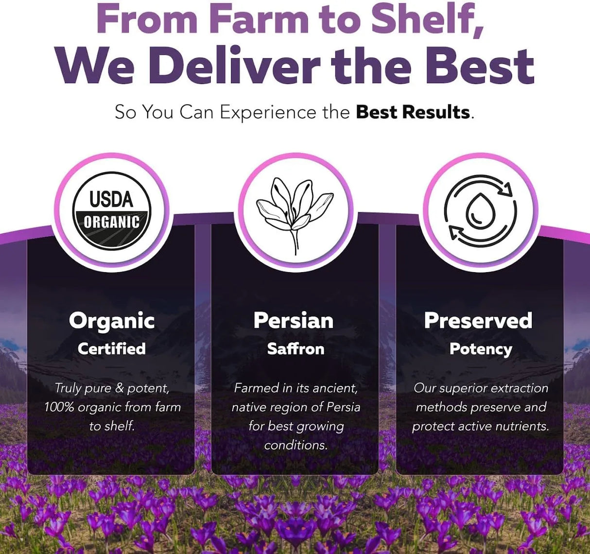 TRIQUETRA - Triquetra Health SaffronRX Saffron Extract 30 Capsulas - The Red Vitamin MX - Suplementos Alimenticios - {{ shop.shopifyCountryName }}