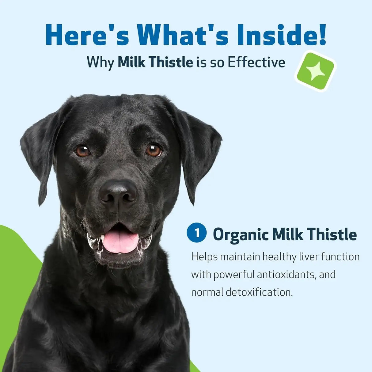 PET WELLBEING - Pet Wellbeing Milk Thistle for Dogs 4 Fl.Oz. - The Red Vitamin MX - Medicamentos Sin Receta Para Perros - {{ shop.shopifyCountryName }}