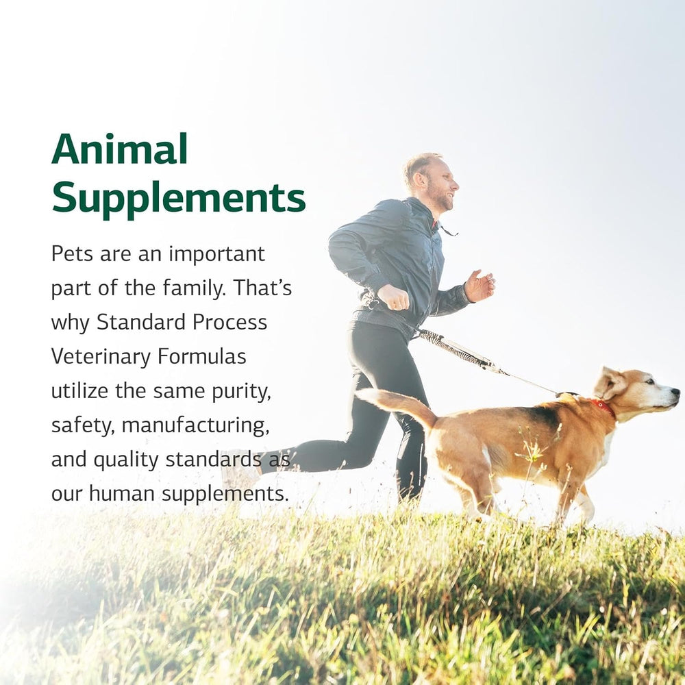 STANDARD PROCESS - Standard Process Canine Dermal Support Skin & Adrenal Gland Supplement 125Gr. - The Red Vitamin MX - Remedios Para La Picazón De Perros - {{ shop.shopifyCountryName }}