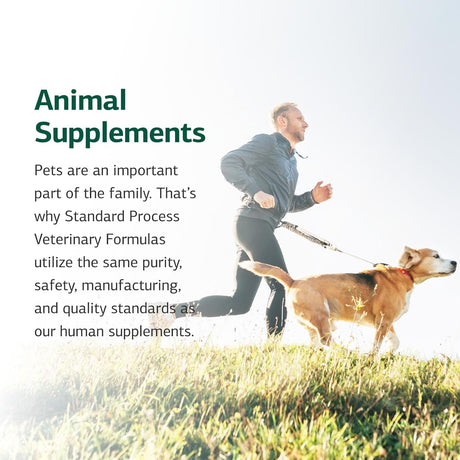STANDARD PROCESS - Standard Process Canine Dermal Support Skin & Adrenal Gland Supplement 125Gr. - The Red Vitamin MX - Remedios Para La Picazón De Perros - {{ shop.shopifyCountryName }}