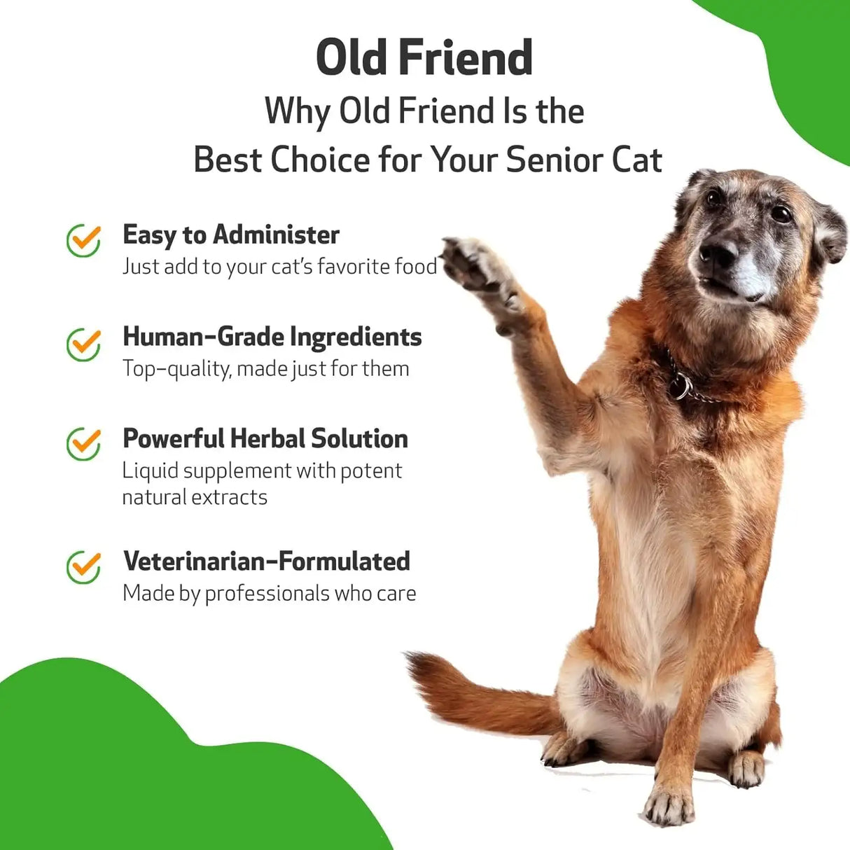 PET WELLBEING - Pet Wellbeing Old Friend for Senior Dogs 4 Fl.Oz. - The Red Vitamin MX - Multivitamínicos Para Perros - {{ shop.shopifyCountryName }}