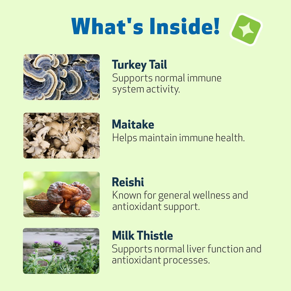 PET WELLBEING - Pet Wellbeing Mushroom Immune Gold for Dogs 236Ml. - The Red Vitamin MX - Suplementos Herbales Para Perros - {{ shop.shopifyCountryName }}