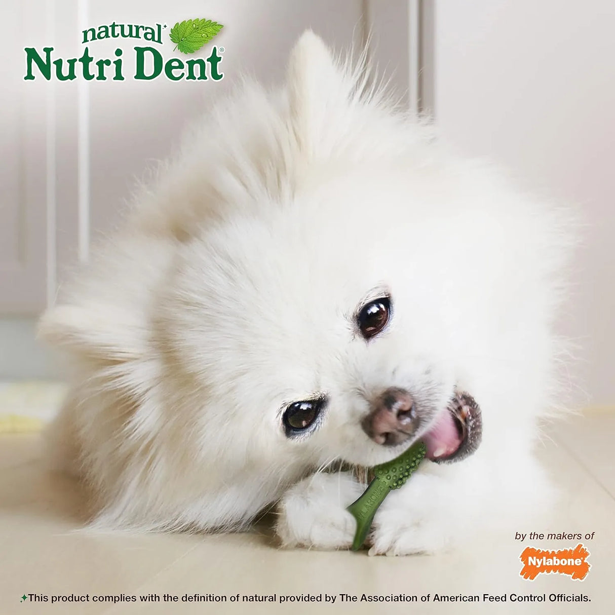 NYLABONE - Nylabone Nutri Dent Dog Dental Chews Mini 78 Piezas - The Red Vitamin MX - Cuidado Dental Para Perros - {{ shop.shopifyCountryName }}