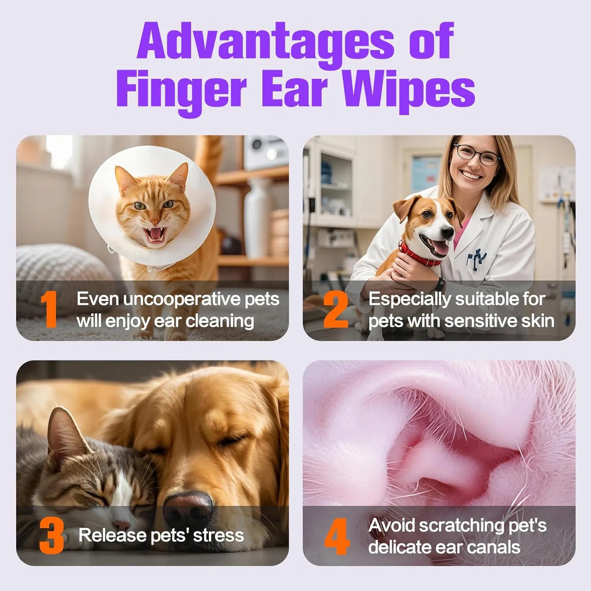 AAIHE - AAIHE Dog Ear Wipes 50 Toallitas - The Red Vitamin MX - Cuidado Del Oído De Perros - {{ shop.shopifyCountryName }}