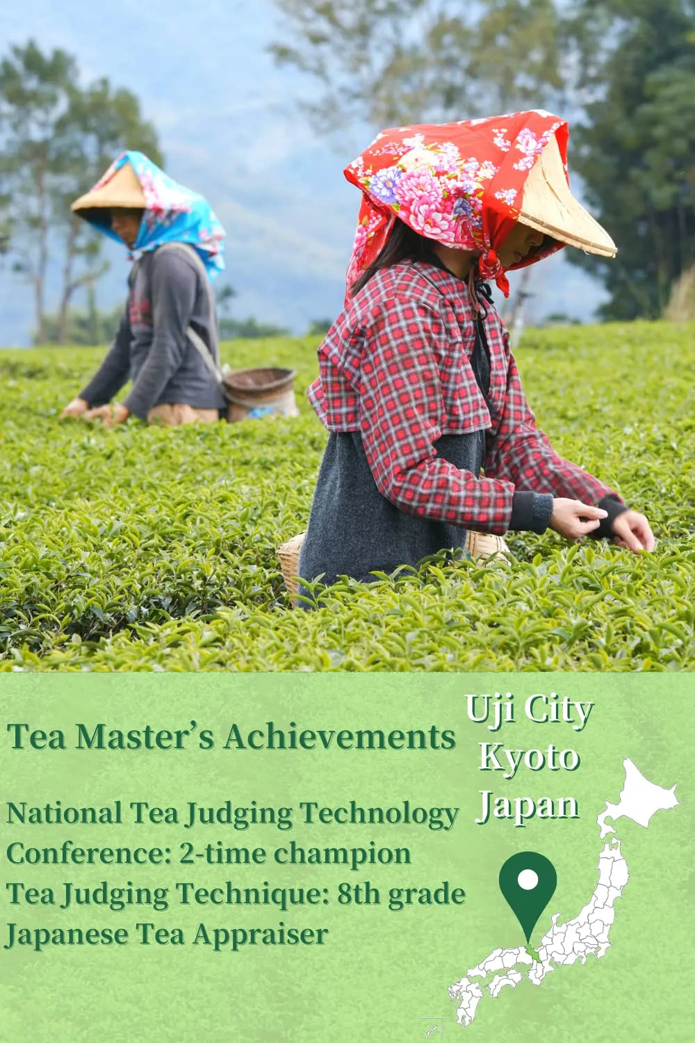 BJDESIGN - BJDesign Matcha Latte Powder “HAJIME” Sweetened Matcha Green Tea Powder 500Gr. - The Red Vitamin MX - Suplementos Alimenticios - {{ shop.shopifyCountryName }}