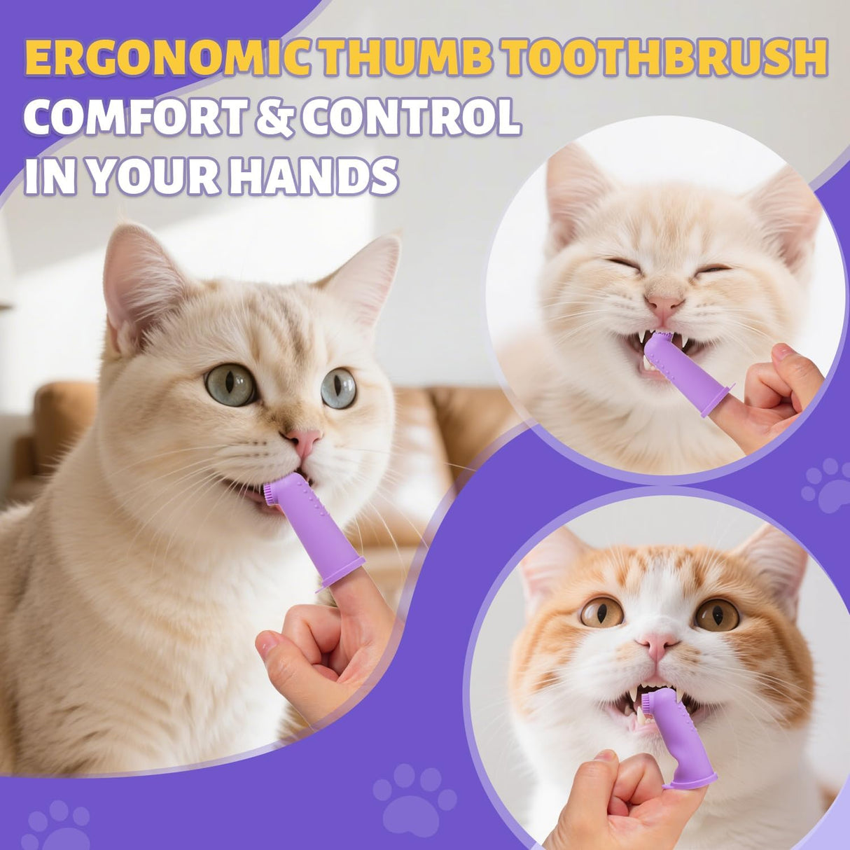 VVHOMIFE Cat Toothbrush and Toothpaste Kit