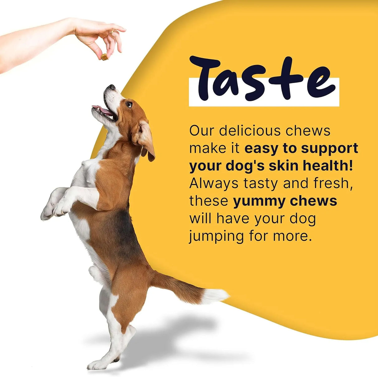 HEALTHY PUP - Healthy Pup Dog Fish Oil 180 Masticables - The Red Vitamin MX - Aceite De Pescado Para Perros - {{ shop.shopifyCountryName }}