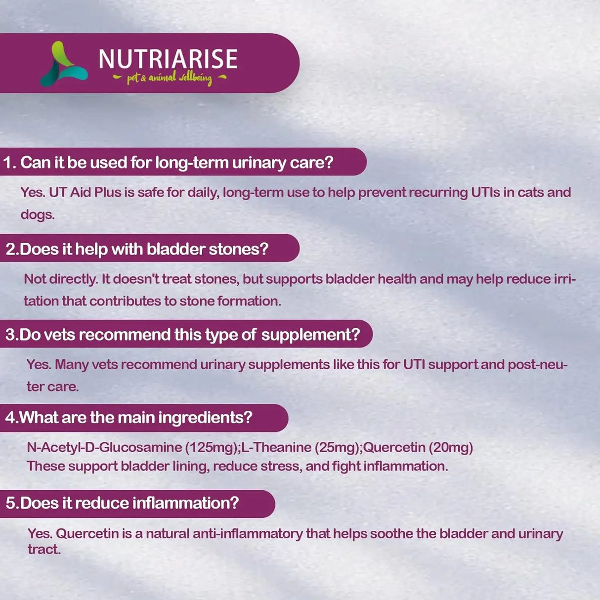 NUTRIARISE - NUTRIARISE UT Aid Plus Cat & Dog UTI Treatment 30 Capsulas - The Red Vitamin MX - Salud De Tracto Urinario Para Perros - {{ shop.shopifyCountryName }}