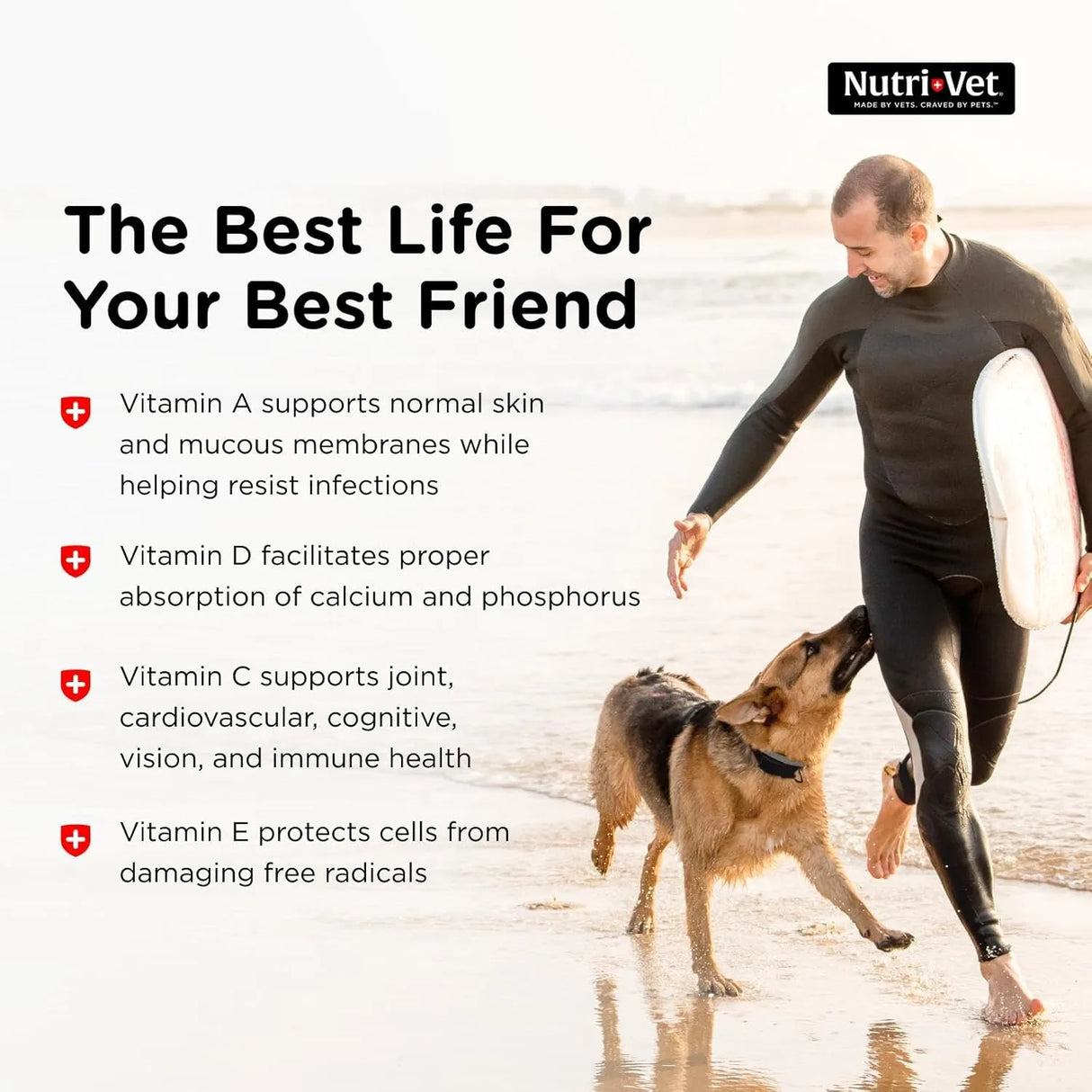 NUTRI-VET - Nutri-Vet Senior-Vite Chewables for Dogs 120 Masticables - The Red Vitamin MX - Multivitamínicos Para Perros - {{ shop.shopifyCountryName }}