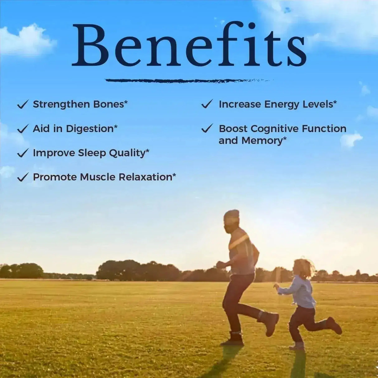 VITALITOWN - Vitalitown Magnesium Complex 120 Capsulas - The Red Vitamin MX - Suplementos Alimenticios - {{ shop.shopifyCountryName }}