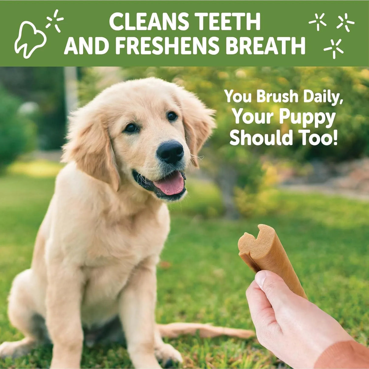 WELLNESS WHIMZEES - Wellness WHIMZEES Puppy Dog Dental Treats Extra Small & Small Size Stick 30 Piezas - The Red Vitamin MX - Cuidado Dental Para Perros - {{ shop.shopifyCountryName }}