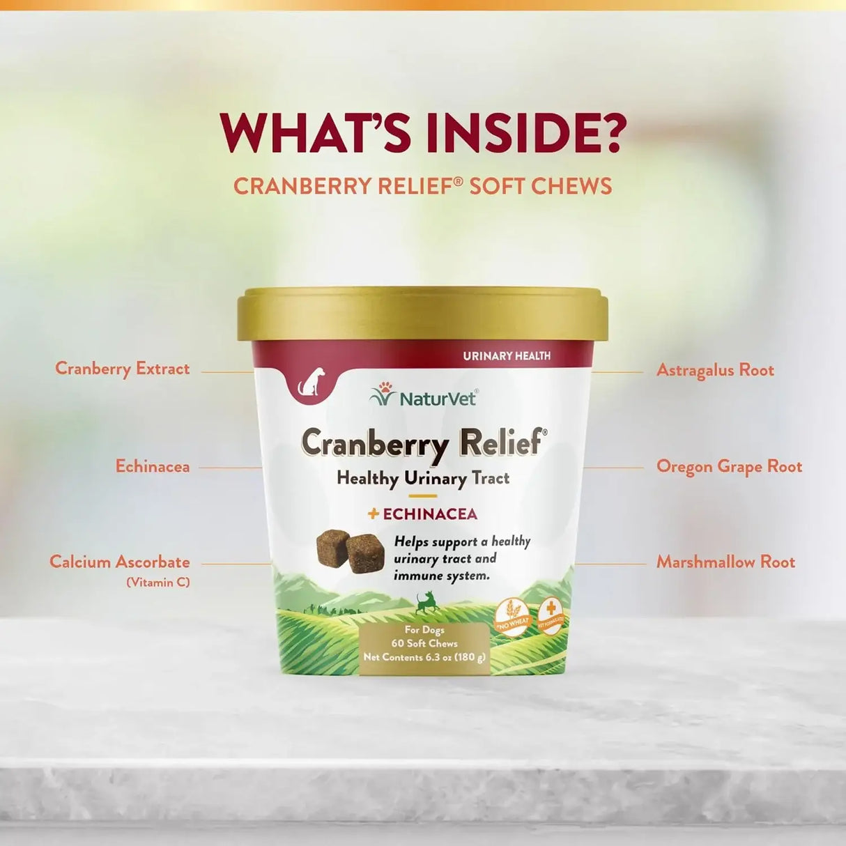 NATURVET - NaturVet Cranberry Relief Plus Echinacea 60 Masticables - The Red Vitamin MX - Salud De Tracto Urinario Para Perros - {{ shop.shopifyCountryName }}