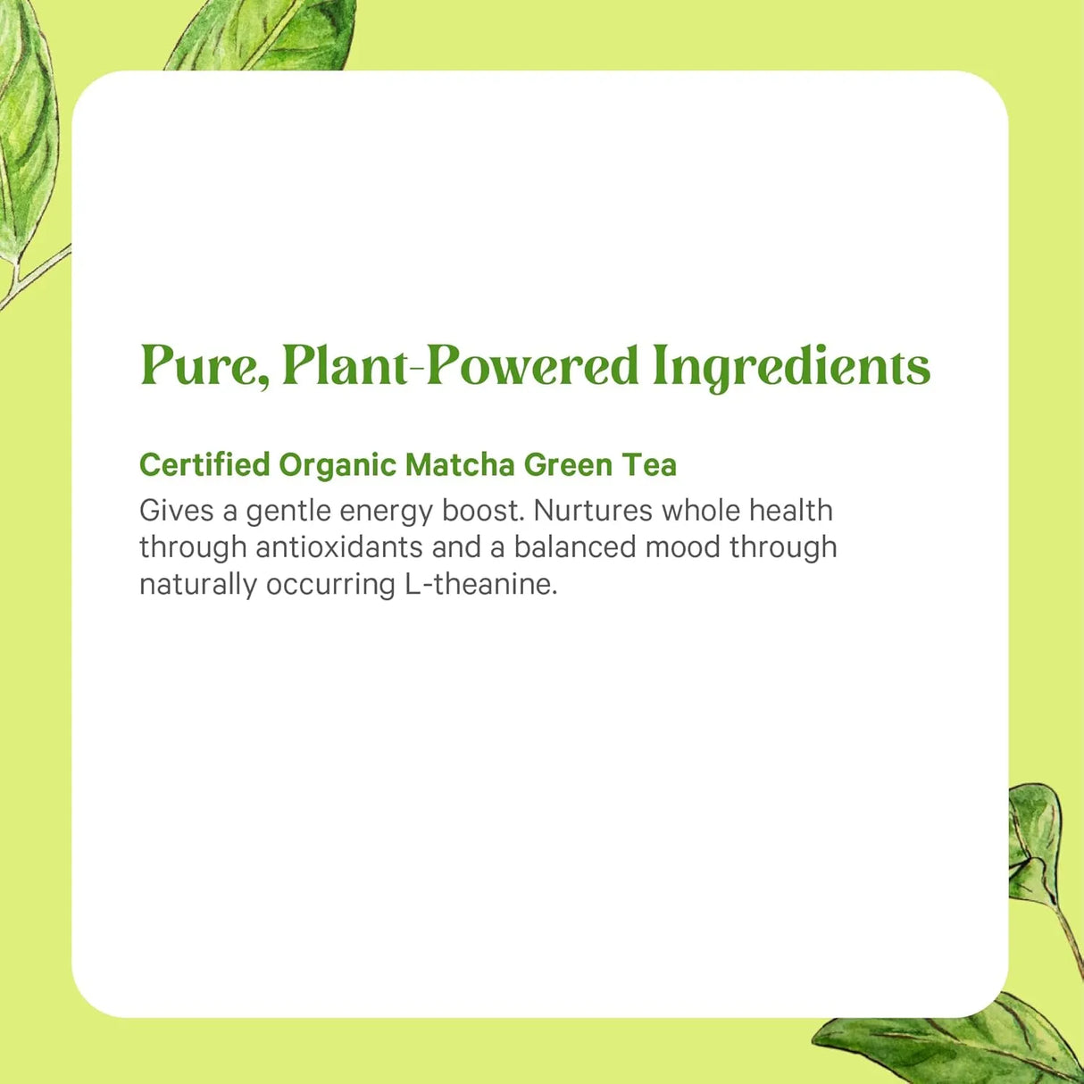 PURE SYNERGY - PURE SYNERGY Matcha Power 60Gr. - The Red Vitamin MX - Suplementos Alimenticios - {{ shop.shopifyCountryName }}