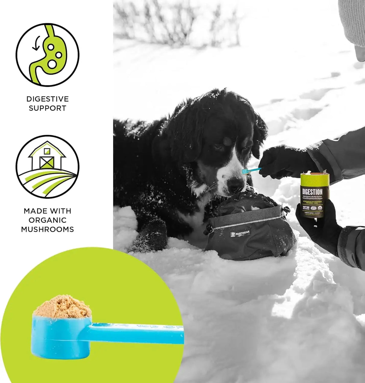 BIXBI - BIXBI Dog & Cat Clean Digestion Support Powder 60Gr. - The Red Vitamin MX - Suplementos Herbales Para Perros - {{ shop.shopifyCountryName }}
