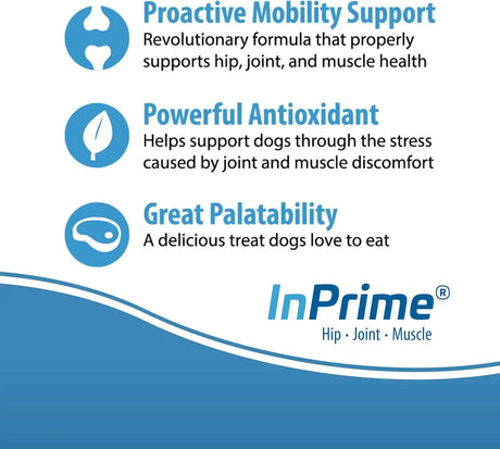 VAN BEEK - Van Beek Natural Science InPrime Canine 60 Masticables - The Red Vitamin MX - Cuidado De Cadera Y Articulaciones Para Perros - {{ shop.shopifyCountryName }}