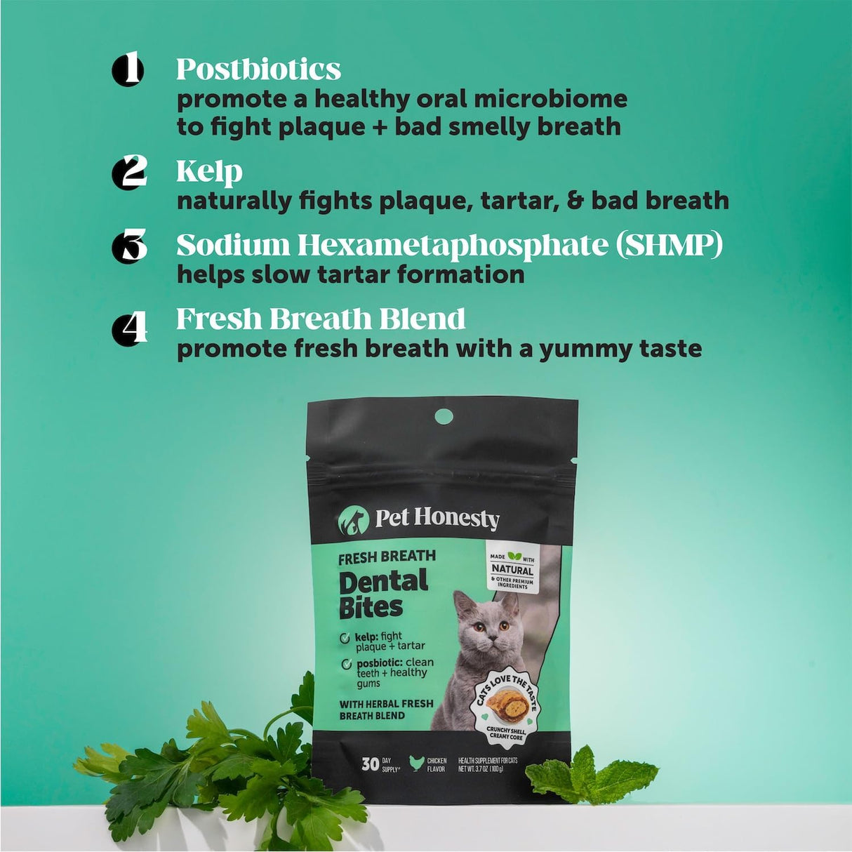 Pet Honesty Fresh Dental Bites for Cats 100Gr.