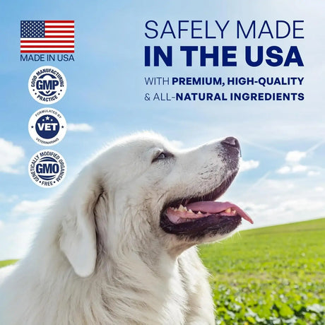 REVIACT - Reviact Calming Chews for Dogs 60 Masticables - The Red Vitamin MX - Relajantes Para Perros - {{ shop.shopifyCountryName }}