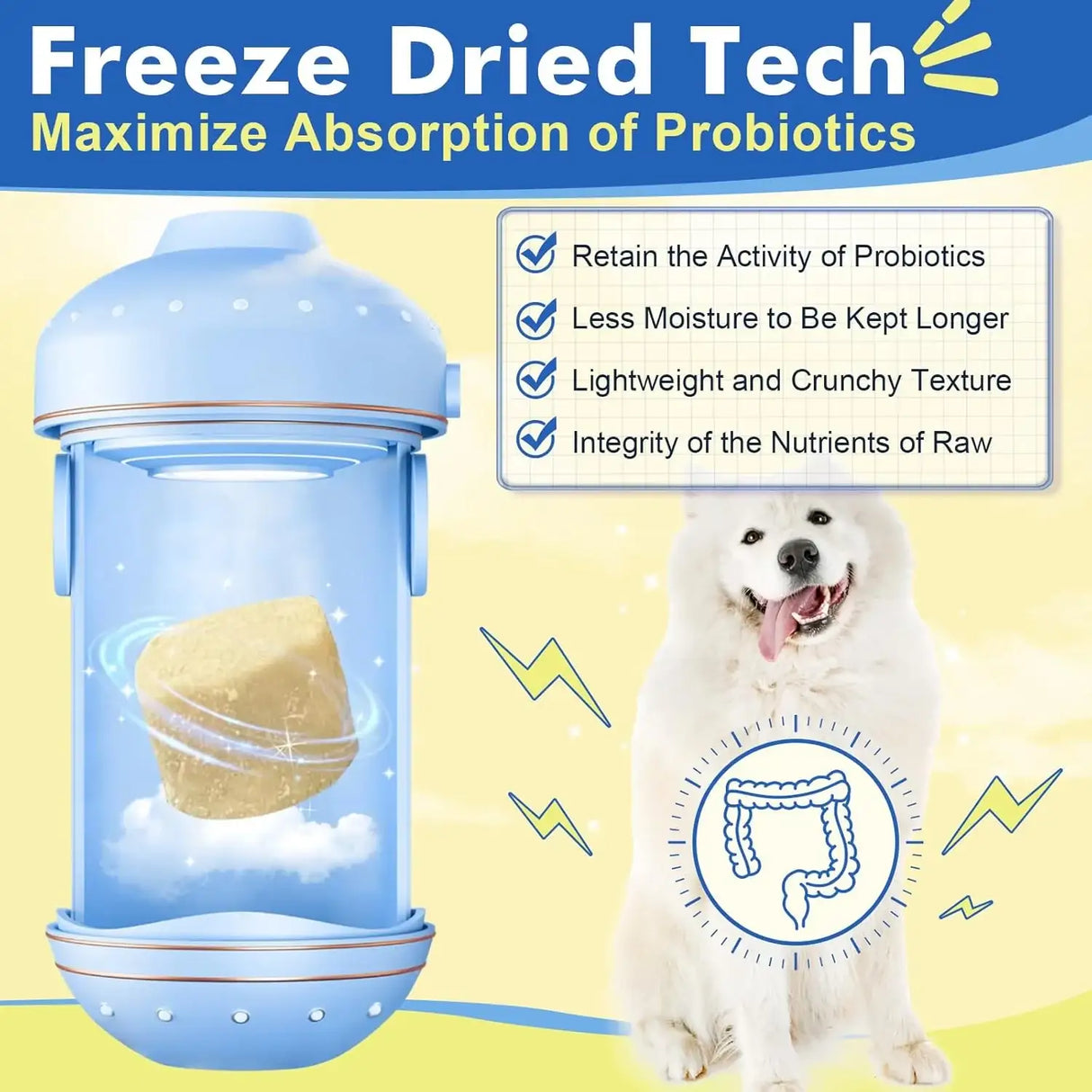 DR FOSTER - DR FOSTER Dog Allergy Relief Chews 120 Masticables - The Red Vitamin MX - Remedios Para La Picazón De Perros - {{ shop.shopifyCountryName }}