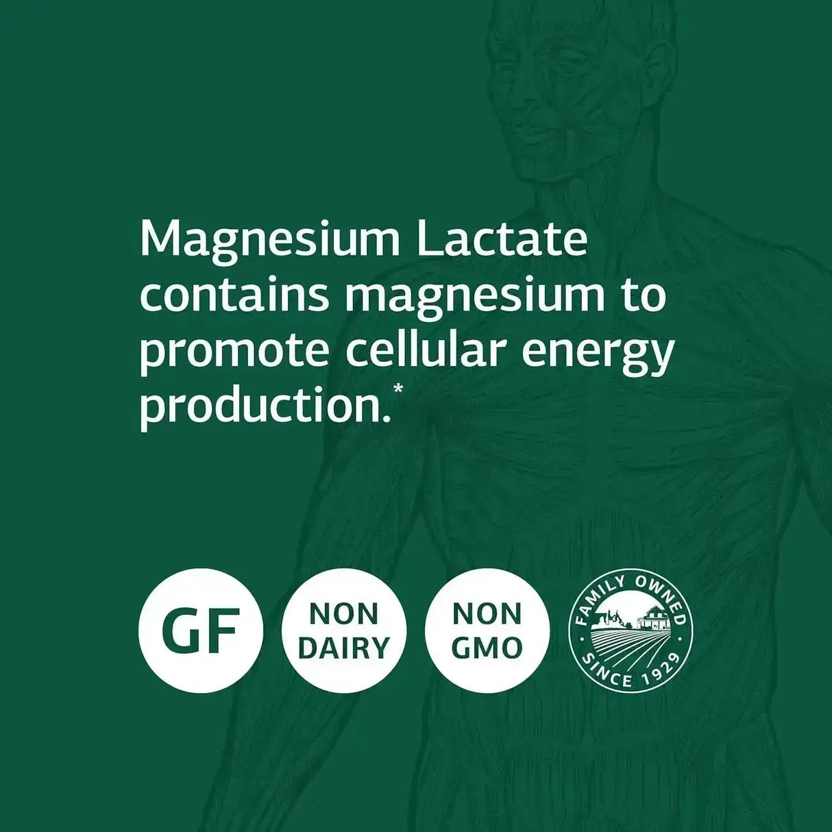 STANDARD PROCESS - Standard Process Magnesium Lactate 90 Capsulas - The Red Vitamin MX - Suplementos Alimenticios - {{ shop.shopifyCountryName }}