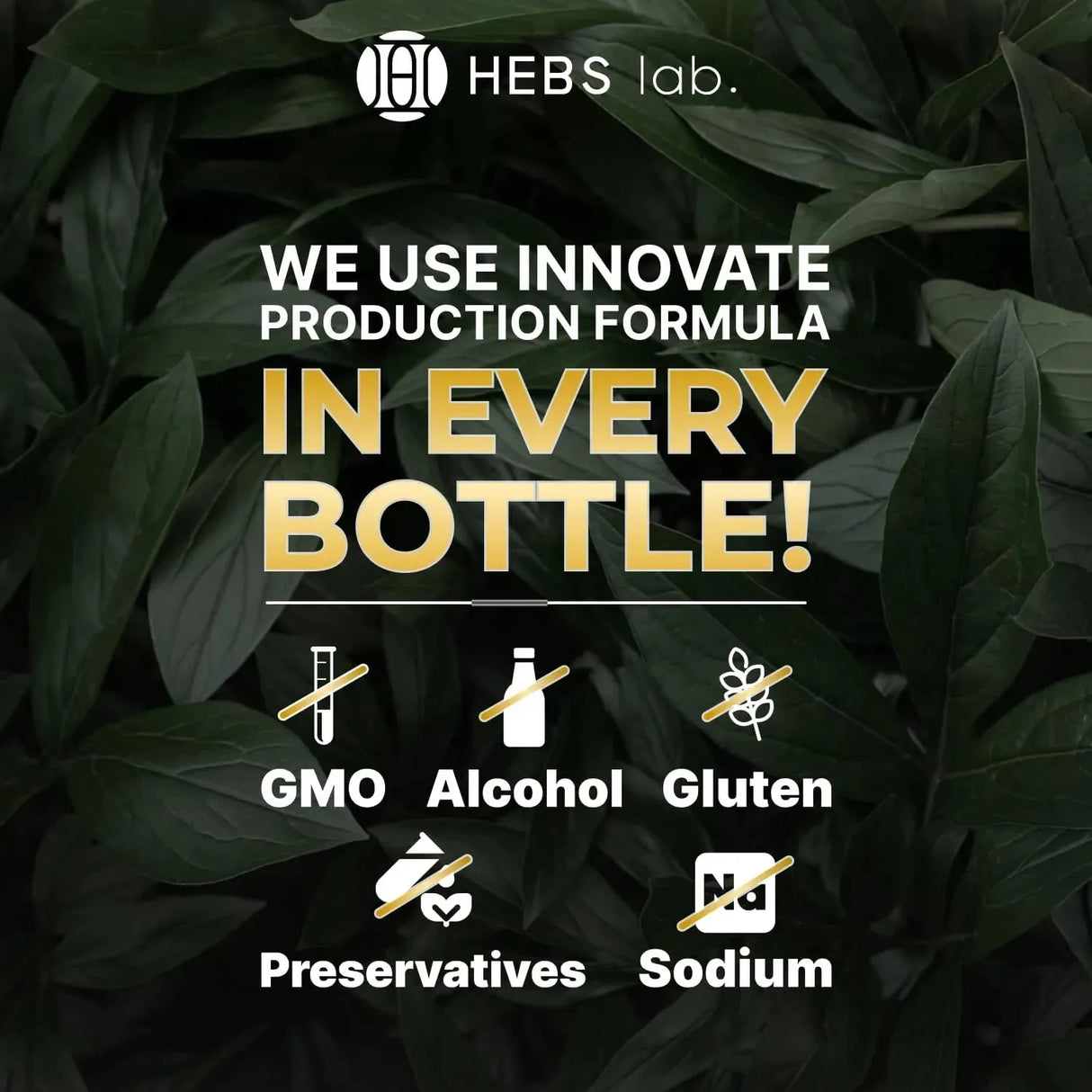 HEBS LAB. - HEBS LAB. Mullein Leaf Extract Organic Lung Cleanse 2 Fl.Oz. - The Red Vitamin MX - Suplementos Alimenticios - {{ shop.shopifyCountryName }}