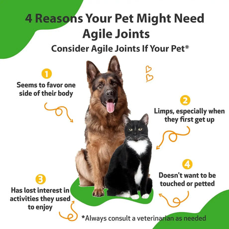 PET WELLBEING - Pet Wellbeing Agile Joints for Dogs 4 Fl.Oz. - The Red Vitamin MX - Cuidado De Cadera Y Articulaciones Para Perros - {{ shop.shopifyCountryName }}