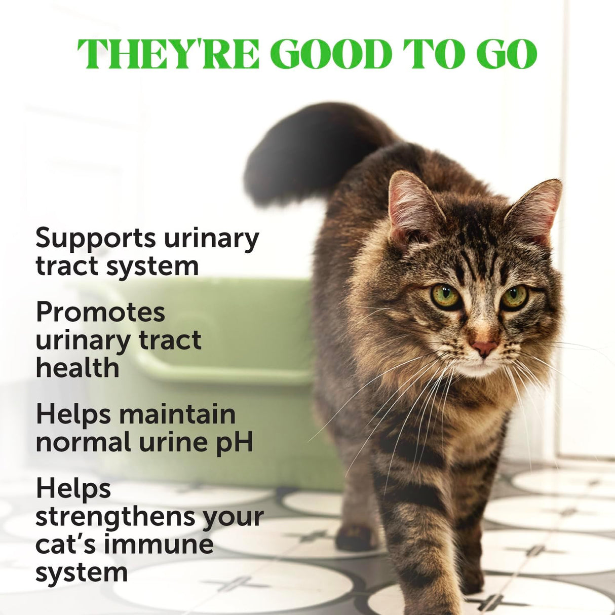 Pet Honesty Cat Urinary Tract Health Crunchy & Creamy Chews 30 Day Supply