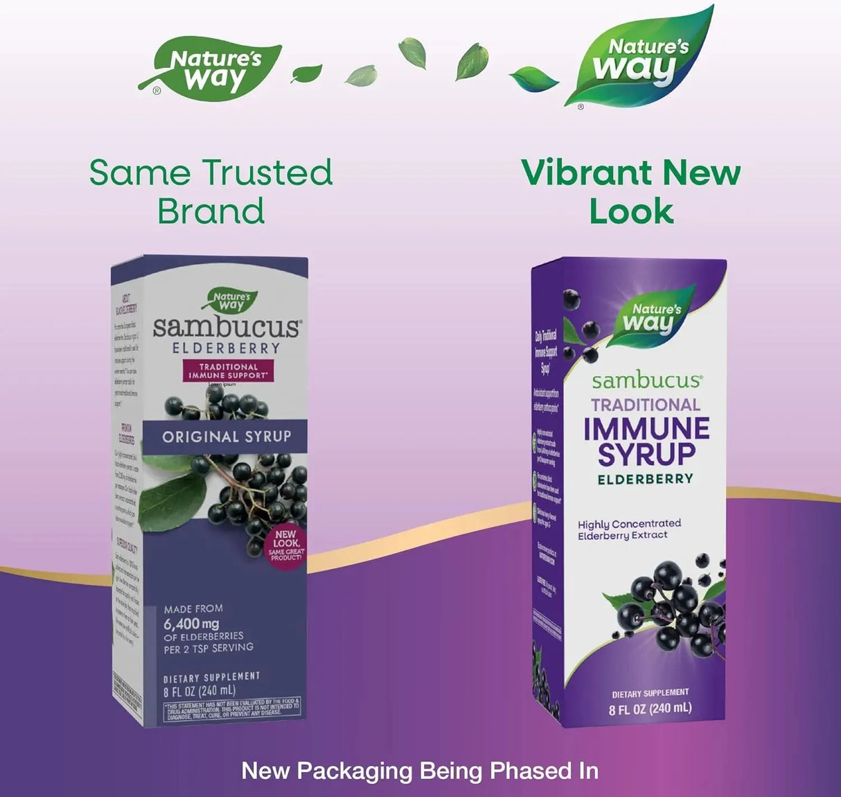 NATURE'S WAY - Nature’s Way Sambucus Elderberry Traditional Immune Syrup 8 Fl.Oz. - The Red Vitamin MX - Suplementos Alimenticios - {{ shop.shopifyCountryName }}