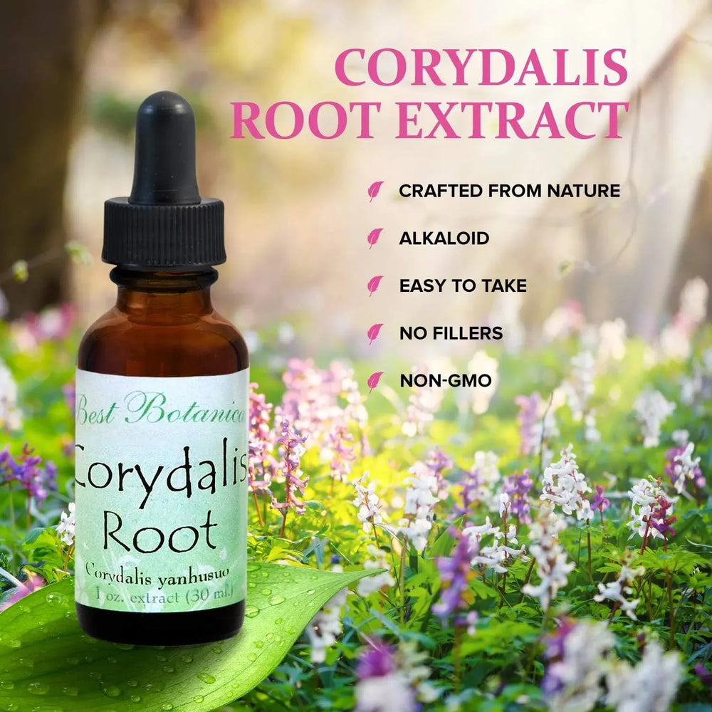 BEST BOTANICALS - Best Botanicals Corydalis Root Extract 30Ml. - The Red Vitamin MX - Suplementos Alimenticios - {{ shop.shopifyCountryName }}