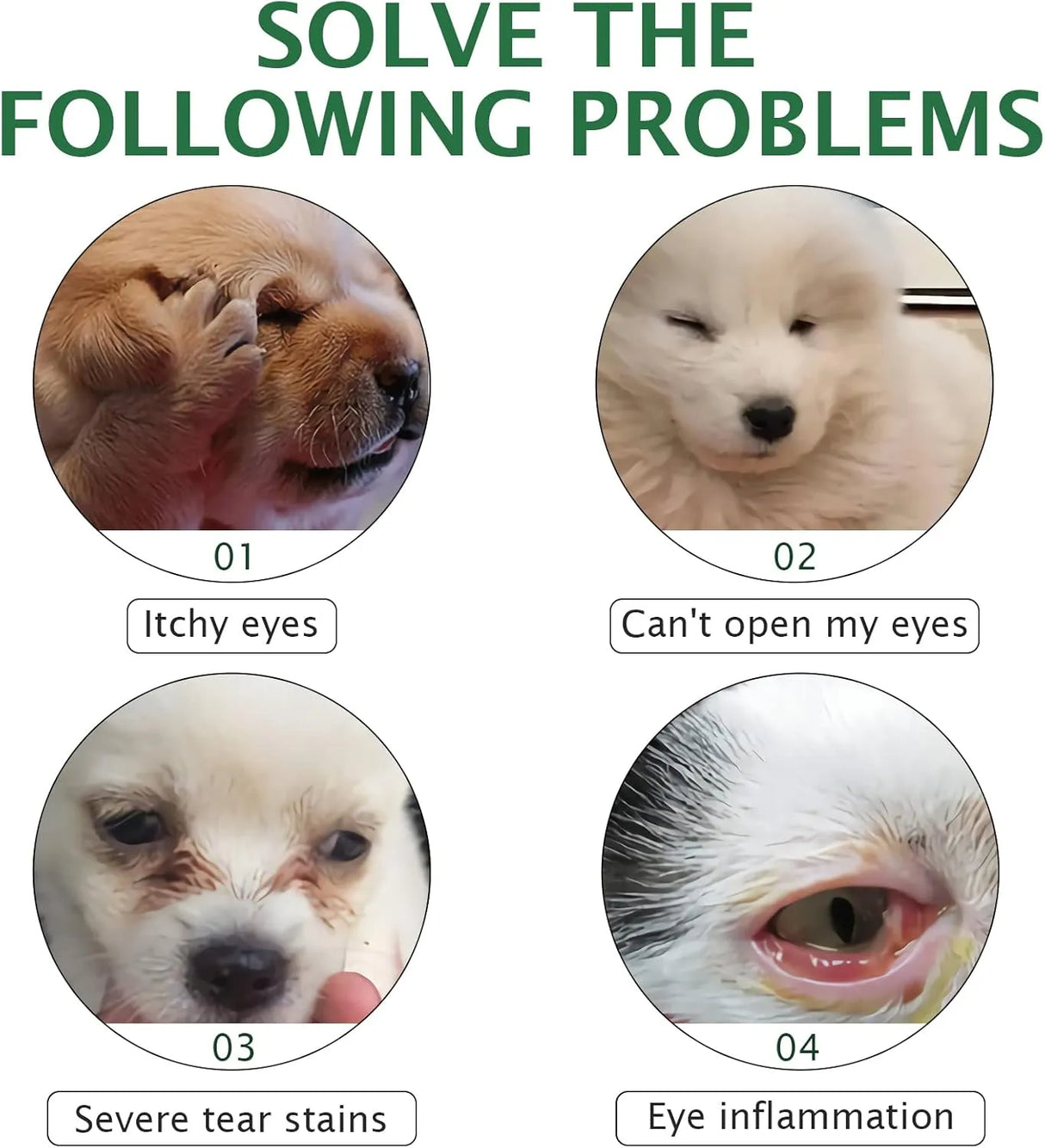 ELAIMEI - ELAIMEI Pet Eye Drops for Dog & Cat 60Ml. - The Red Vitamin MX - Cuidado De Los Ojos De Los Perros - {{ shop.shopifyCountryName }}