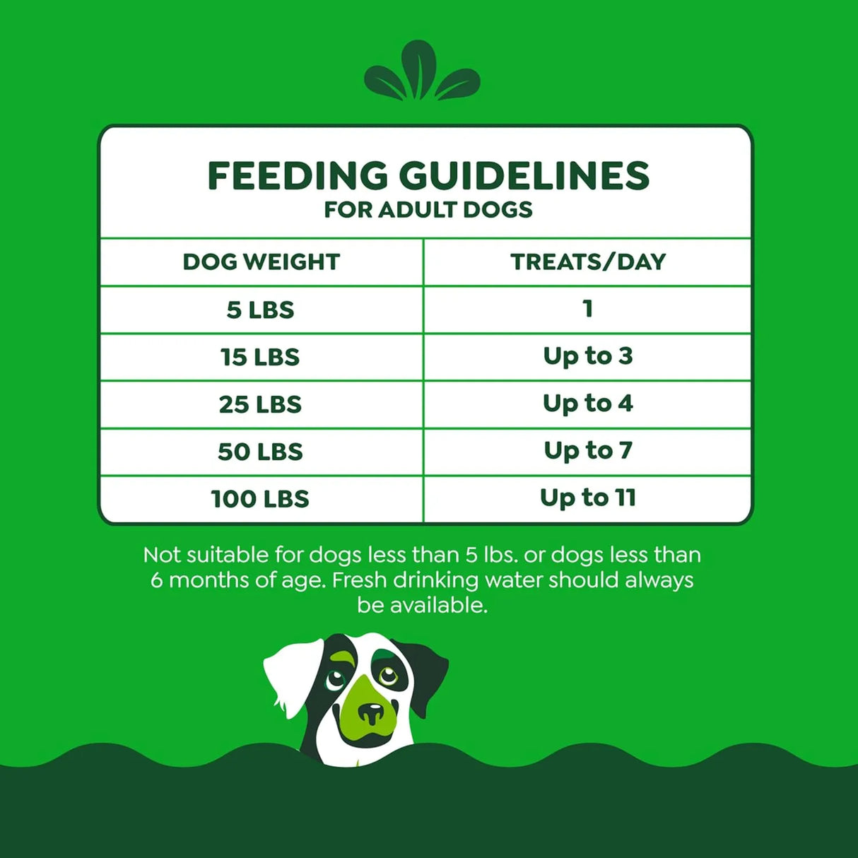 GREENIES - Greenies Anytime Bites Dog Treats Mint Flavor 680Gr. - The Red Vitamin MX - Cuidado Dental Para Perros - {{ shop.shopifyCountryName }}