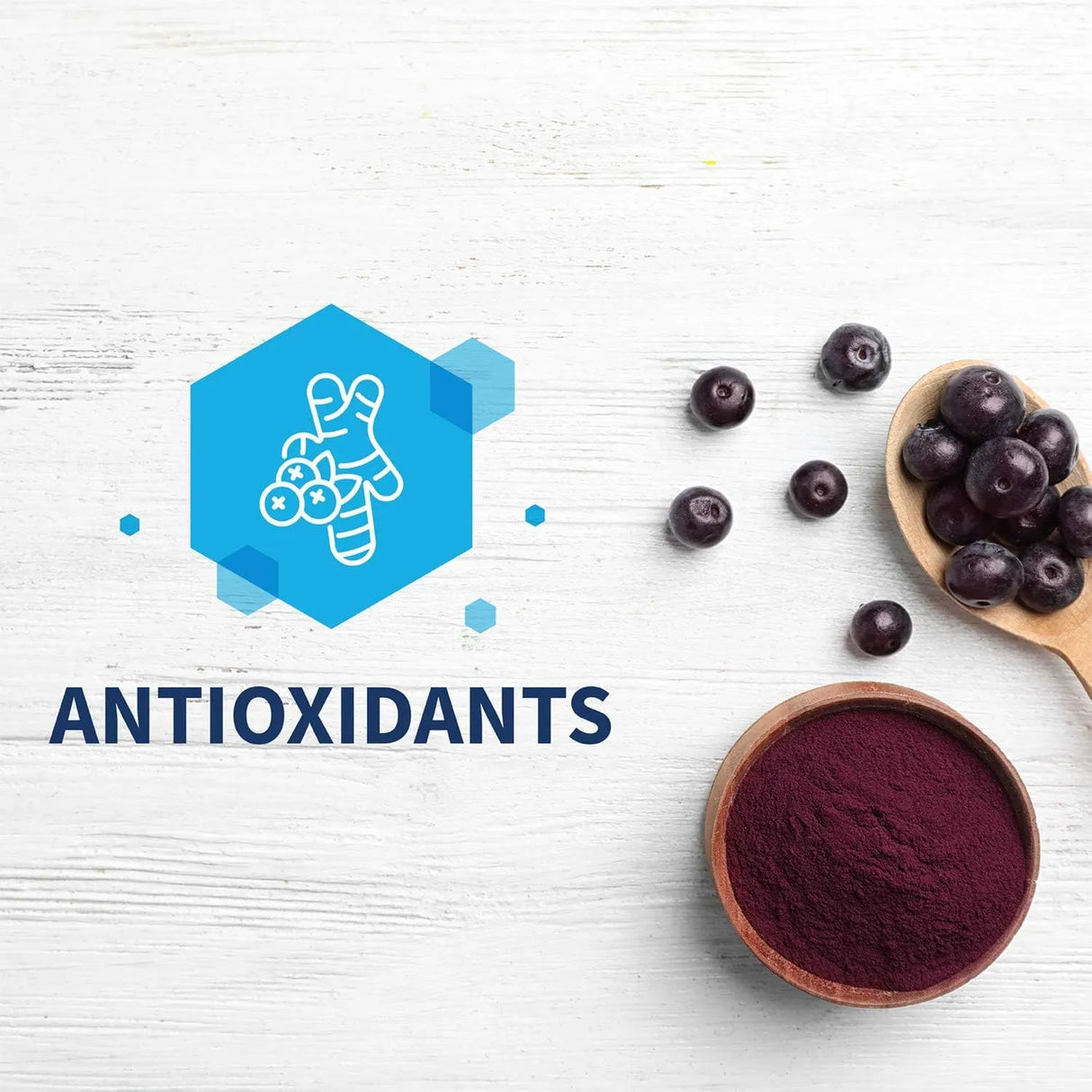 KLAIRE LABS - Klaire Labs L-Carnosine 500Mg. 90 Capsulas - The Red Vitamin MX - Suplementos Alimenticios - {{ shop.shopifyCountryName }}