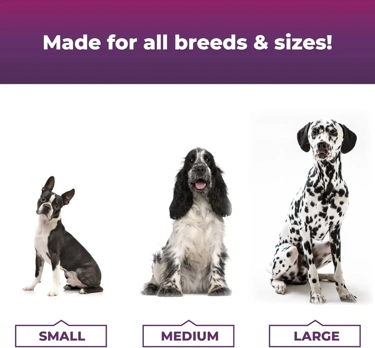 VETRISCIENCE - VetriScience Extra Strength Healthy Skin & Coat Chews Omega Plus 40 Masticables - The Red Vitamin MX - Aceite De Pescado Para Perros - {{ shop.shopifyCountryName }}