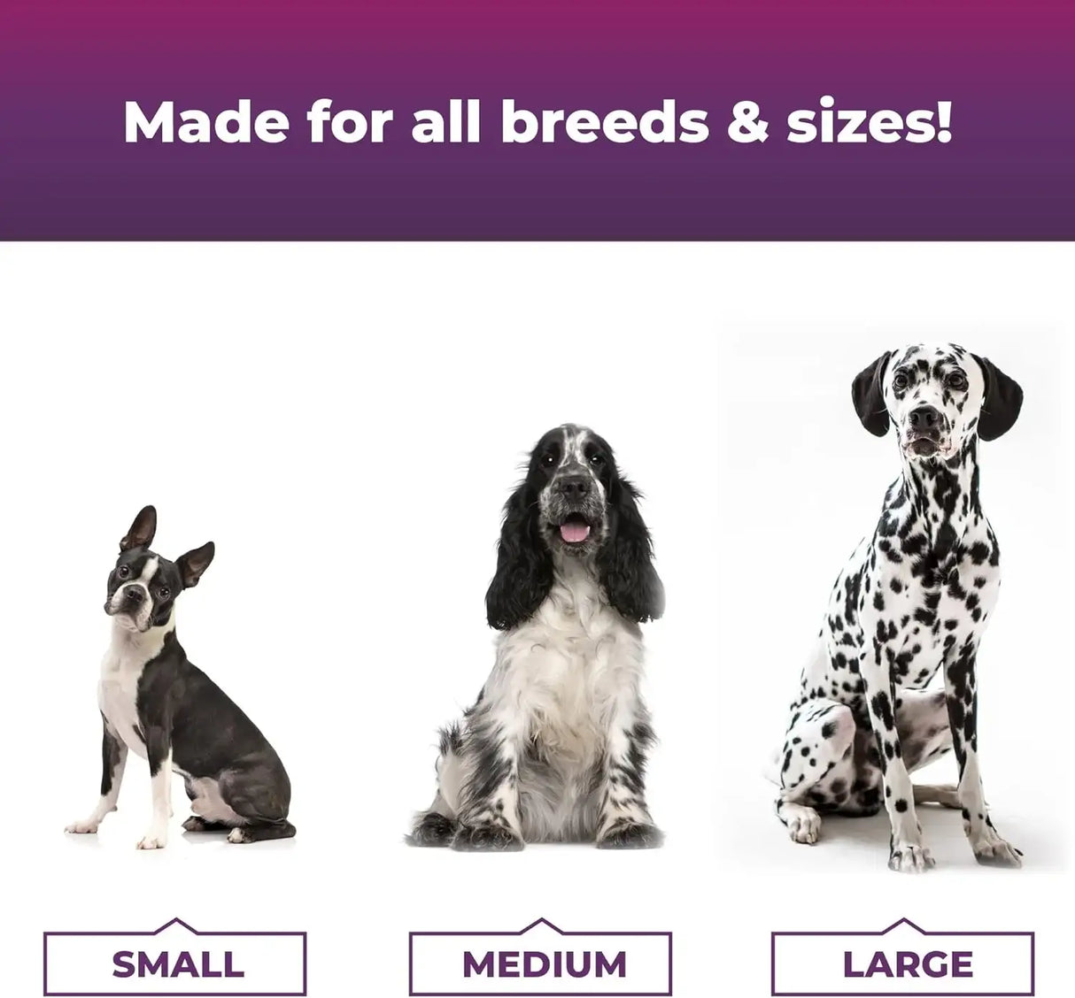 VETRISCIENCE - VetriScience Allergy & Itch Support Chews Duck 75 Masticables - The Red Vitamin MX - Remedios Para La Picazón De Perros - {{ shop.shopifyCountryName }}